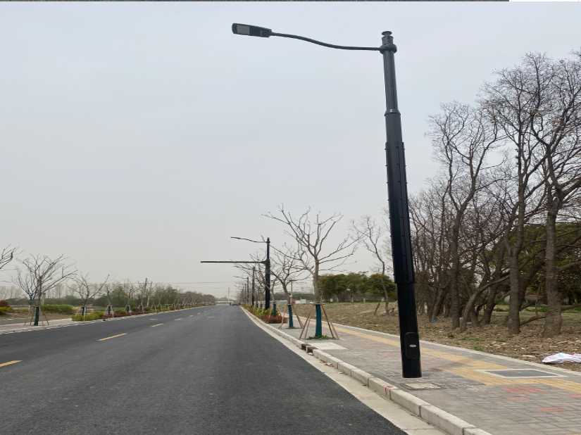 西市区上海综合杆 太阳能路灯工程